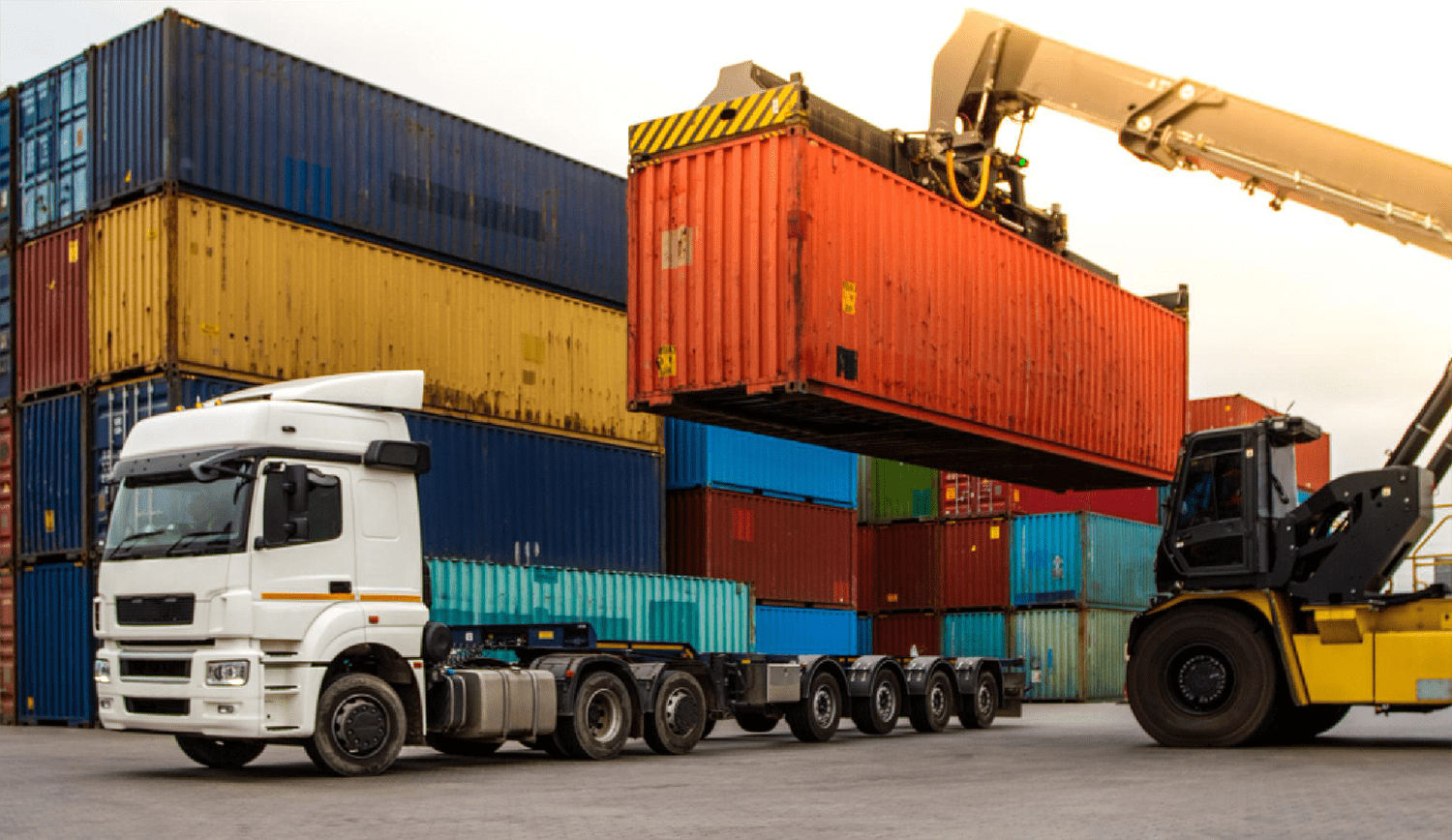 Full Container Loaded services